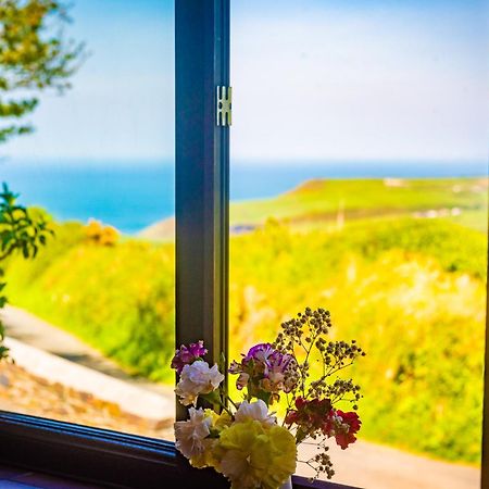 Polrunny Farm Elderberry Cottage With Sea View บอสคาสเซิล ภายนอก รูปภาพ