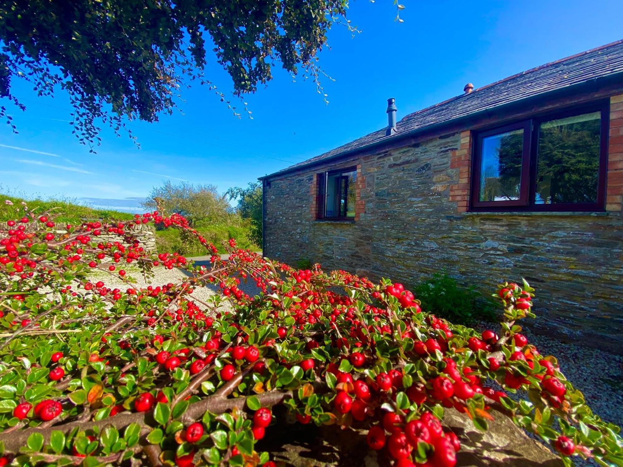 Polrunny Farm Elderberry Cottage With Sea View บอสคาสเซิล ภายนอก รูปภาพ