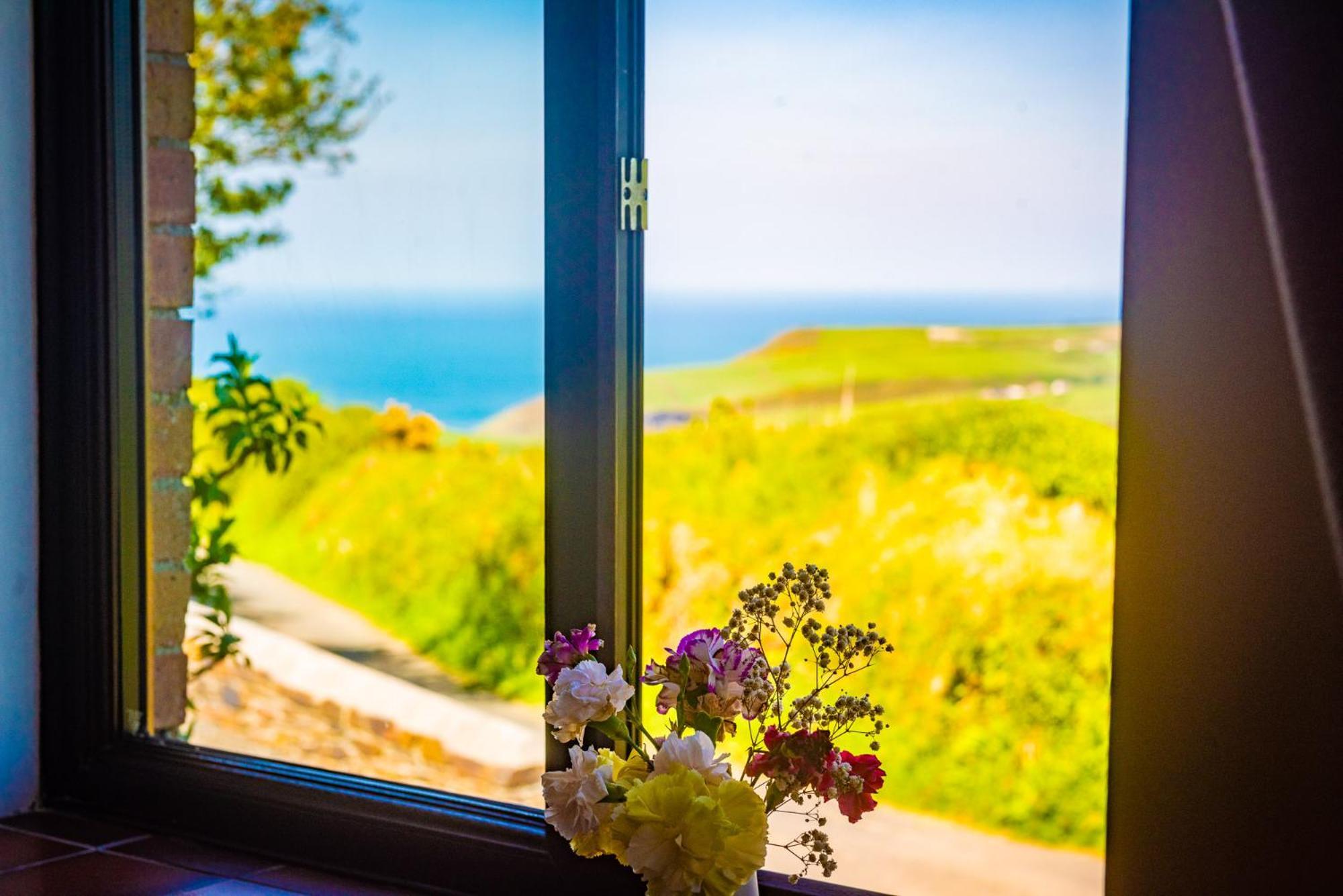 Polrunny Farm Elderberry Cottage With Sea View บอสคาสเซิล ภายนอก รูปภาพ